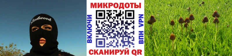 Псилоцибиновые грибы мицелий  Гвардейск 