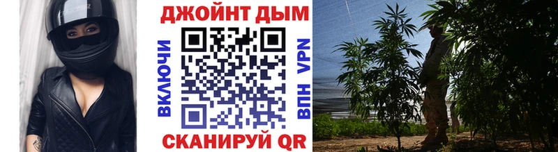 кракен как войти  Гвардейск  маркетплейс телеграм  МАРИХУАНА план 